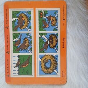 Robin Family Sequence Puzzle